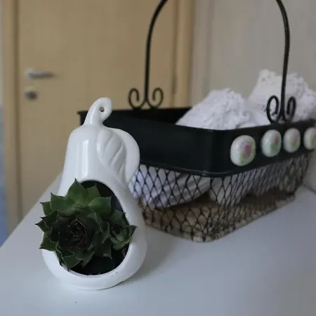 Glavas ماكارسكا