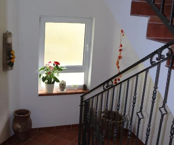 Apartment Glavas *